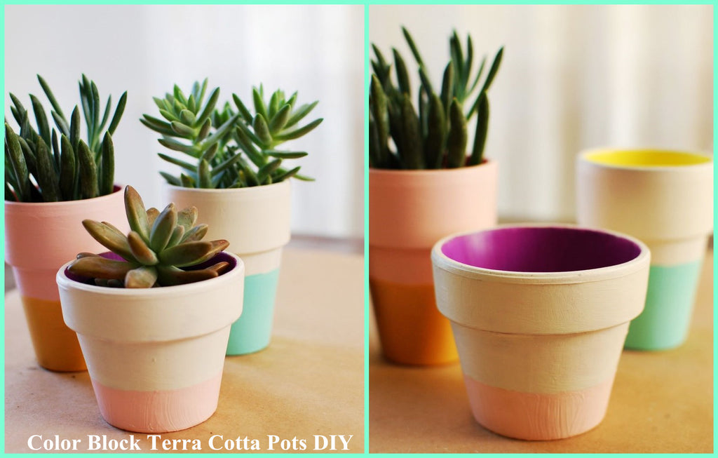 Share the super cute method for customizing tiny terra cotta pots.