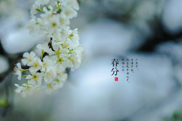24 Solar Terms in China-the Spring Equinox